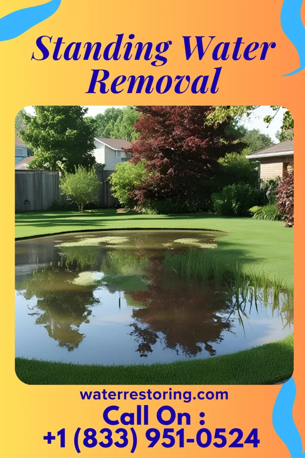Standing Water Removal in Myerstown, PA